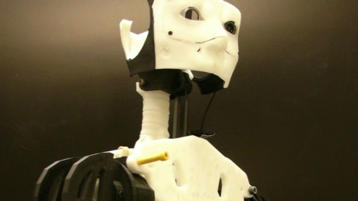 InMoov Robot